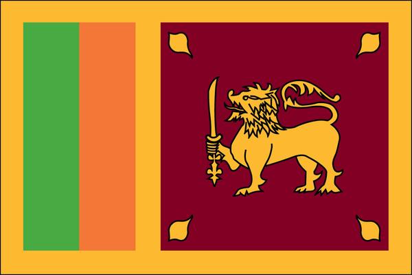 Cricket Bat Stickers in Sri Lanka
